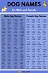 Dog Names: 100+ Most Popular Male and Female Dog Names • 7ESL