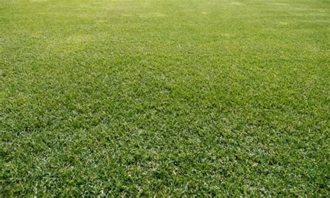 Rrr Lawn And Landscape 10 Tips For A Healthy West Michigan Lawn