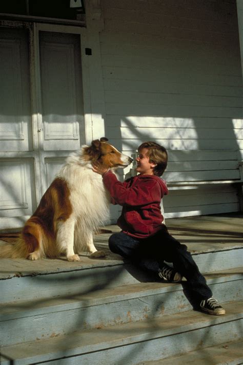 Lassie 1994