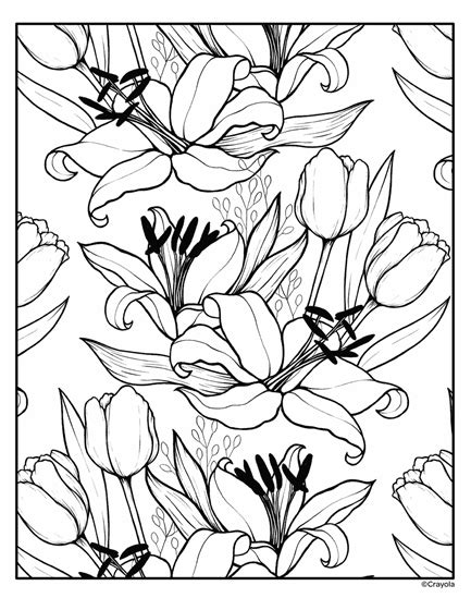 Get ready to have some colouring fun with crayola's free printable colouring pages. Lily and Tulip Flowers | crayola.com