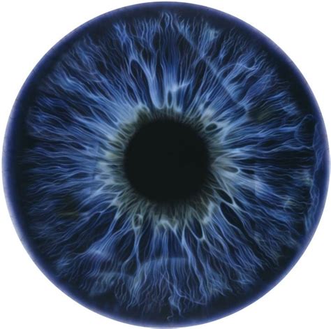 Hyper Realistic Eyeball Oil Paintings Eye Photography Iris Art Eye