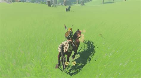 Zelda Breath Of The Wild How To Tame Horses Shacknews