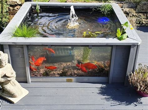 Lotus Clear View Garden Aquarium With Windows And Fountain Etsy