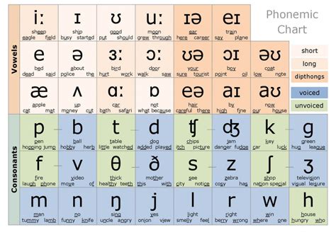 Phonemic Chart Kampung Inggris Gambaran