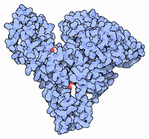 Numerous bsa protein options are commercially available, however, there is scarce information about which. Bovine serum albumin