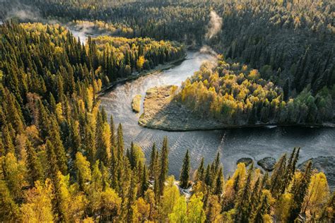 Even Moderate Warming Will Transform Northern Forests