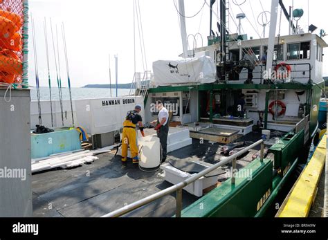 Hannah Boden Swordfish Boat In Bay Bulls Newfoundland Off