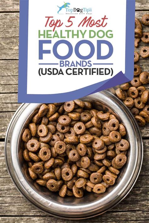 Top 5 Most Healthy Dog Food Brands Usda Organic Certified Healthy