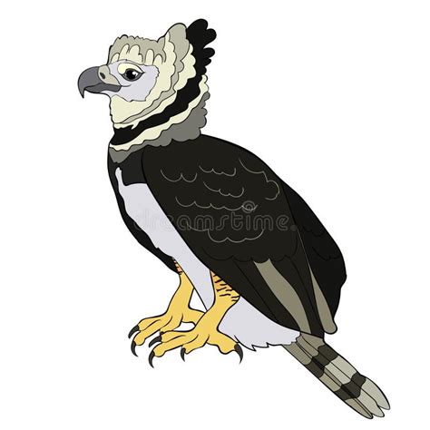 Vector Harpy Eagle In The Rainforest Jungle In Brazil Stock Vector