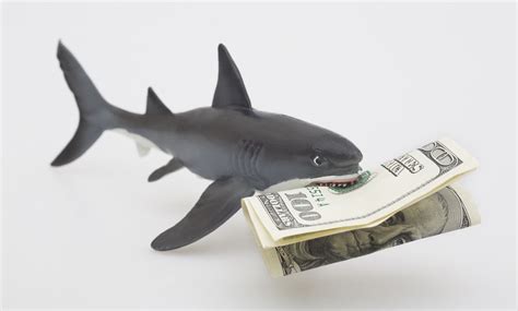 If The Uk Can Take On Loan Sharks We Can Too The Spinoff