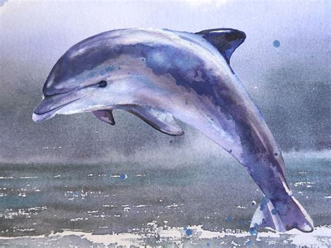 Watercolor Dolphin Tutorial 5 Of 5 Free Watercolor Tutorial