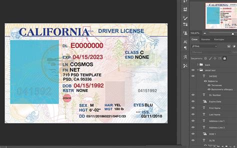 California Driver License Usa