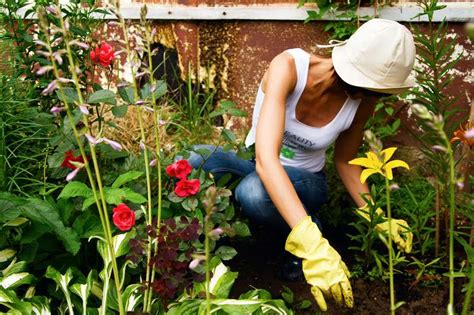 Alle jobs in nur einer suche. Gartenarbeit: Pause mit Sauerstoff-Kick - FIT FOR FUN