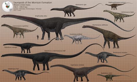 Sauropods Of The Morrison Formation By Paleoguy On Deviantart