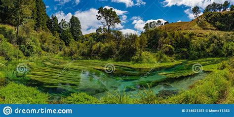Panorama Of Blue Spring The River With The Purest Water In New Zealand
