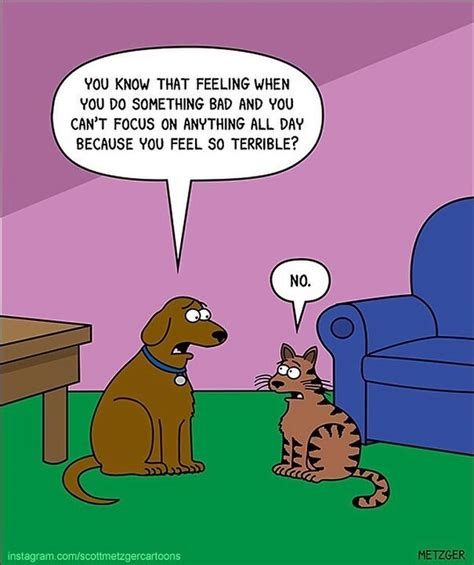 30 funny cat comics by scott metzger that might make every cat owner cry with laughter new pics