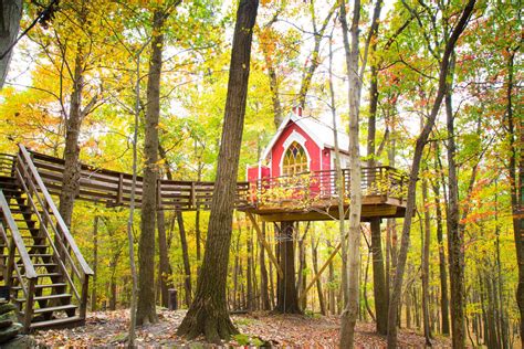 Tree House Hotels In The U S