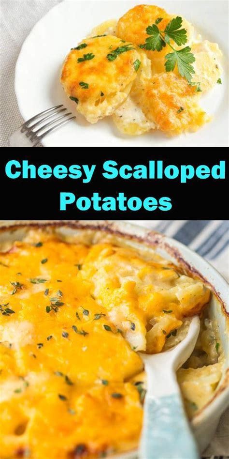 My roommate and i felt the dish was not cheesy enough and lacked the kick other dishes from this site had. Best Ever Cheesy Scalloped Potatoes Recipe - Easy ...