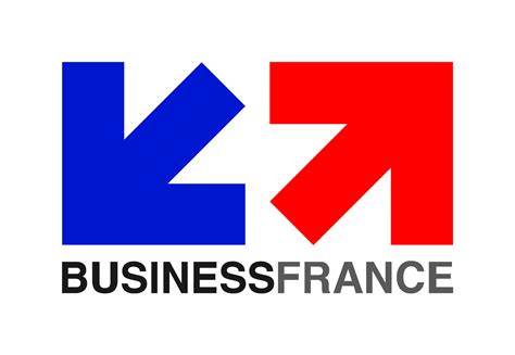 France Logo France Icon Round World Flags Iconset Custom Icon
