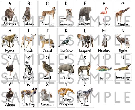 Wild Animals Themed English Alphabet A Z • Teacha