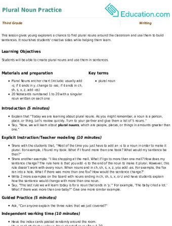 Plural Noun Practice Lesson Plan | Lesson Plan | Education.com