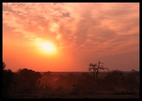 This movie was produced in 1996 by steve gomer director with rhea perlman, fredro starr and carol kane. Sunset in the Kruger Park! How romantic is that? # ...