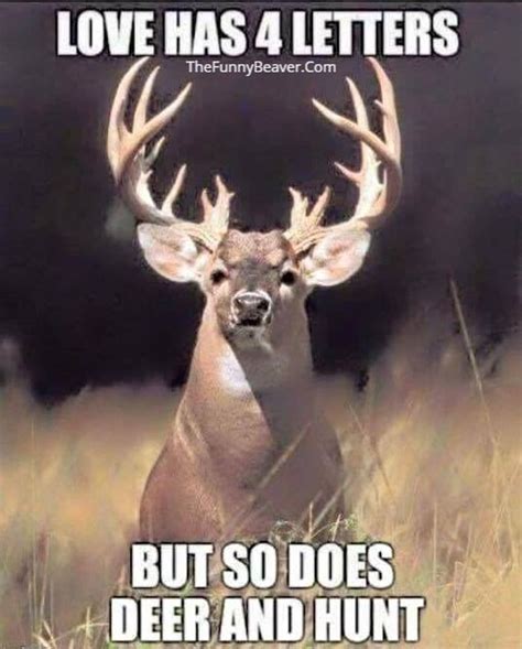 Funny Pictures Deer Hunting Humor Funny Hunting Pics Funny Deer