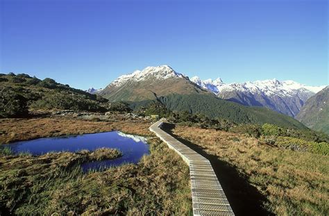 Recommended New Zealand Hiking Destinations • Travel Tips