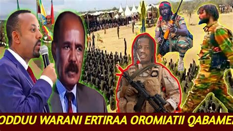Odduu Amee Waranii Ertiraa Oromia Kessaatii Tohataman Liyuu Hayliin