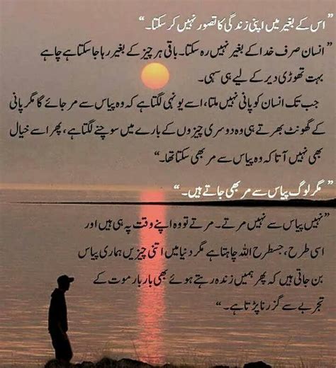 Best Lines From Novel Emaan Umeed Aur Muhabbat | Pakistan Social Web