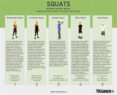 Squats Exercise Squat Charts Progressions Chart Different