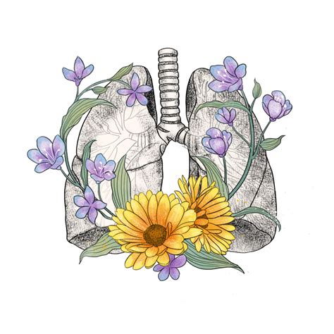 Lung Png Image Lungs And Flowers Human Anatomy Medical Medical