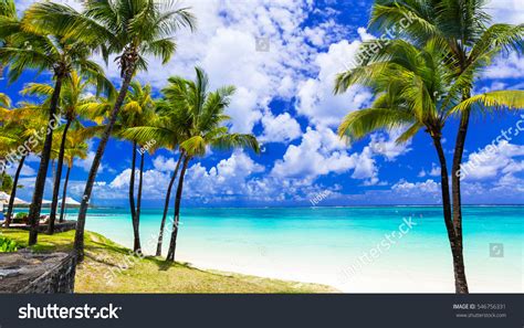 Tropical Scenery Beautiful Palm Beach Turquoise Stock