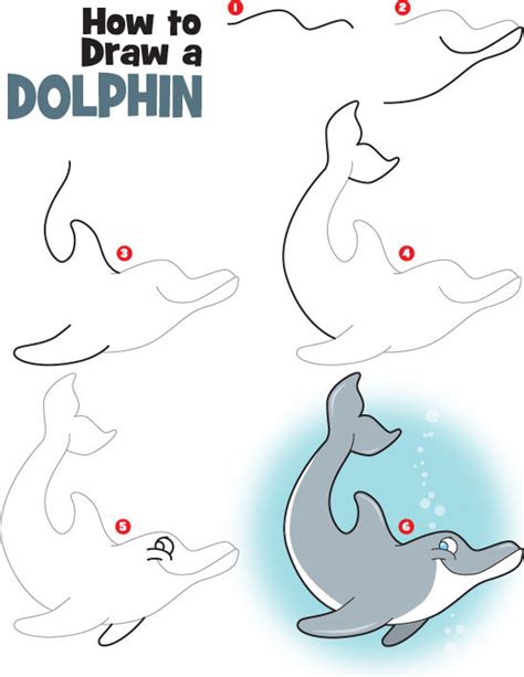 371x480 beautiful dolphin coloring page for kids animal pages. How To Draw a Dolphin | Kid Scoop