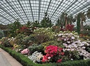 Flower Dome - Ticket Prices & Admission Gardens by the Bay Singapore