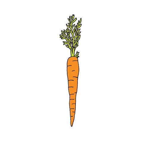 Carrot Carrot Drawing Geometric Tattoo Carrots