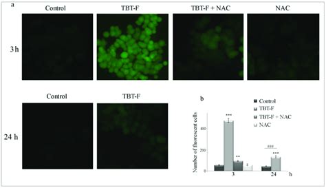 Tributyltin Iv Ferulate Tbt F Stimulates Intracellular Reactive