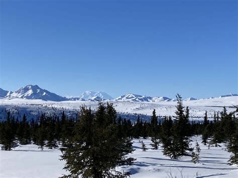 How To Visit Denali National Park In Winter Ordinary Adventures 2022