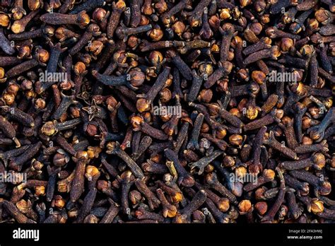 Macro Photography Of Cloves Are The Aromatic Flower Buds Of A Tree In