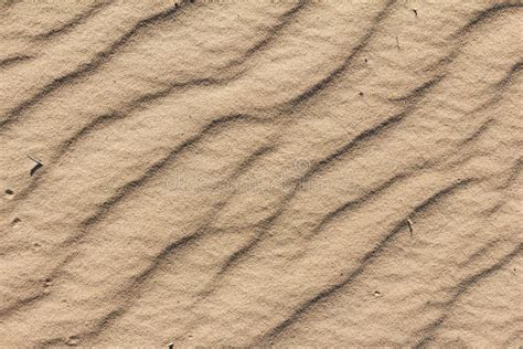 Sandy Background Texture Of An Arid Sand Desert Stock Photo Image Of