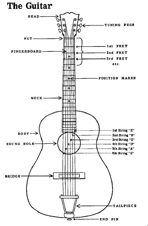 Most Important Guitar Terms Guitar Chords For Songs Learn Guitar