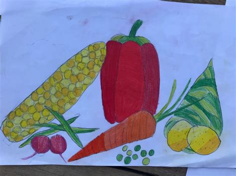 Lakaran Lukisan Buah Buahan Tempatan Drawing Fruits Easy Belajar Cara