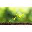 Why Sustainable Growth Is The Right Formula For Startup Success  Inccom