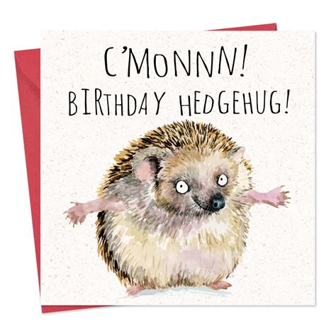 Buy Twizler Funny Birthday Card Hedgehog Funny Card Happy Birthday