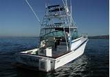 Pictures of Newport Beach Fishing Charters