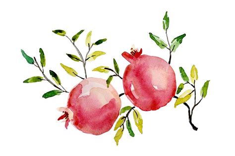 Pomegranate Watercolor Pomegranate Art Botanical Watercolor Floral