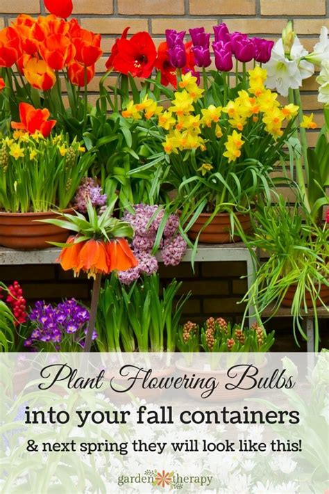 Beyond Tulips Extraordinary Fall Bulbs You Need To Grow