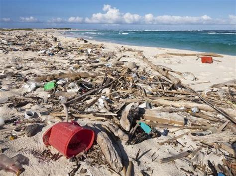 Trash Covered Beach In Aruba Photographic Print Paul Souders
