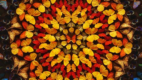 Download Wallpaper 3840x2160 Butterflies Patterns Wings Colored 4k