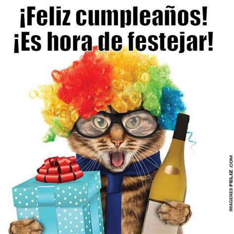 Compartir 47 Imagen Feliz Cumpleaños Gatitos Graciosos Viaterramx
